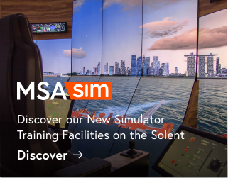 MSA Sim