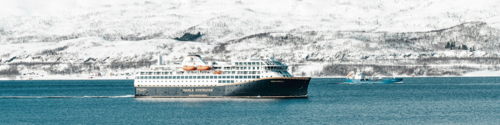 Cruise ship operating in ice